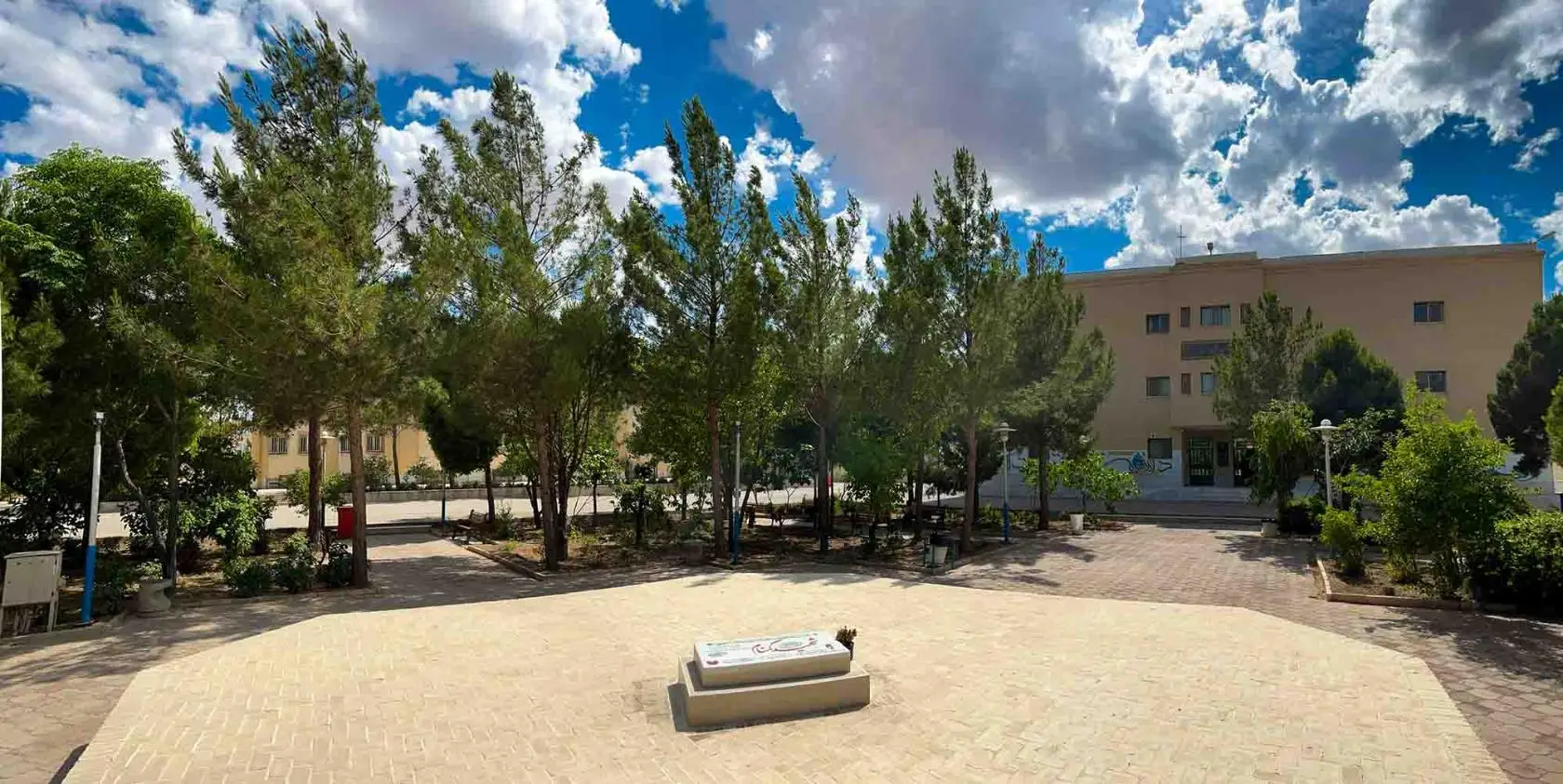 دانشگاه اردکان